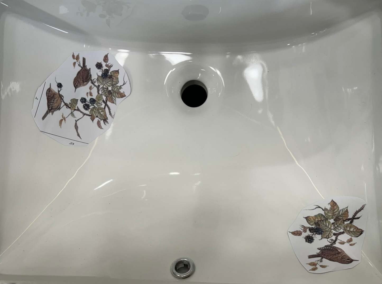 Custom Bird Sinks